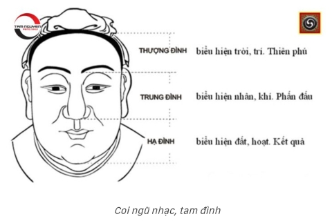 10 BƯỚC XEM NHÂN TƯỚNG HỌC NAM, NỮ CƠ BẢN CHÍNH XÁC NHẤT