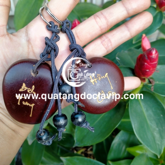 Hạt Đậu Thần Kỳ (QTMK-1)