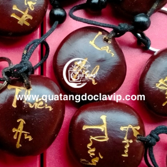 Hạt Đậu Thần Kỳ (QTMK-1)