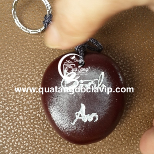 Hạt Đậu Thần Kỳ (QTMK-1)