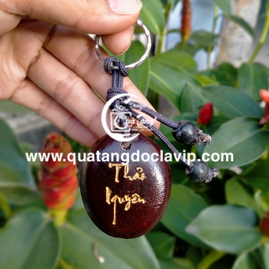 Hạt Đậu Thần Kỳ (QTMK-1)