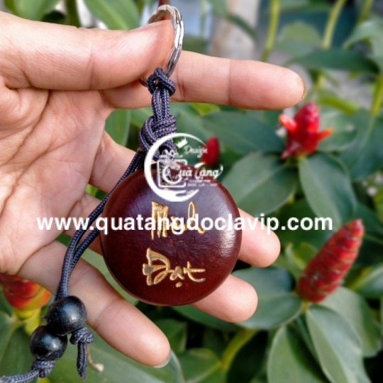 Hạt Đậu Thần Kỳ (QTMK-1)